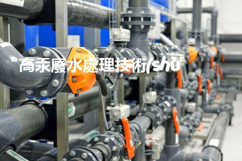 “高汞廢水處理技術(shù)，綠色環(huán)保新篇章”